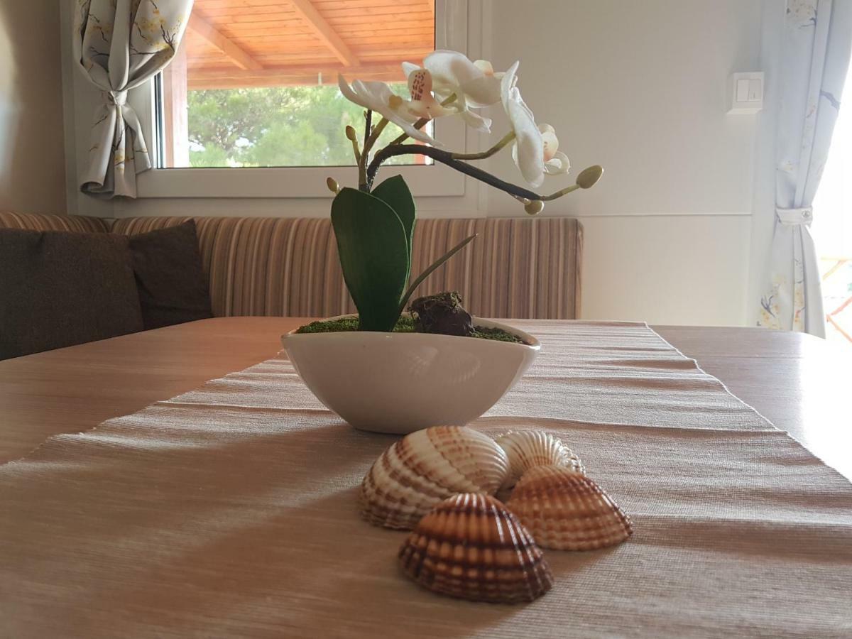 Mobile Homes Seashell Езера Экстерьер фото